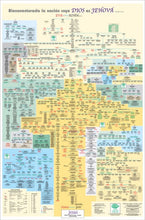 Load image into Gallery viewer, The Adam and Eve Family Tree Wall Chart