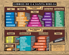 Load image into Gallery viewer, Books of the Holy Bible - Large Color Poster
